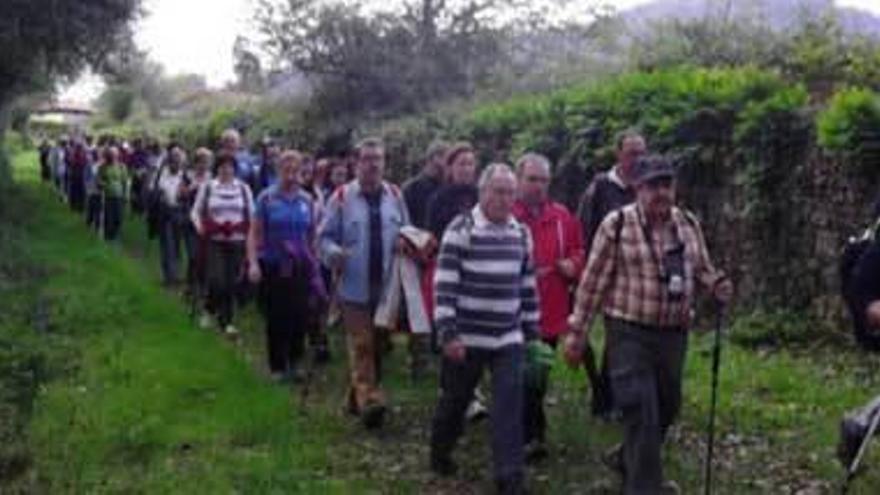 Javier Llaneza, a la cabeza de un grupo de caminantes del Centro Asturiano.