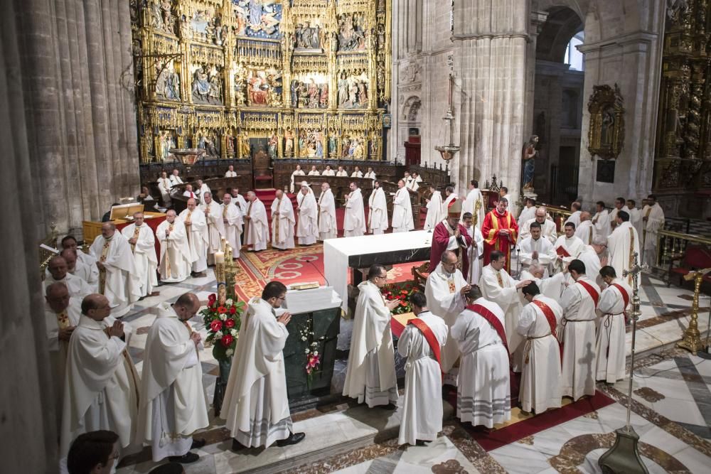 Ordenación de nuevos sacerdotes en la Catedral