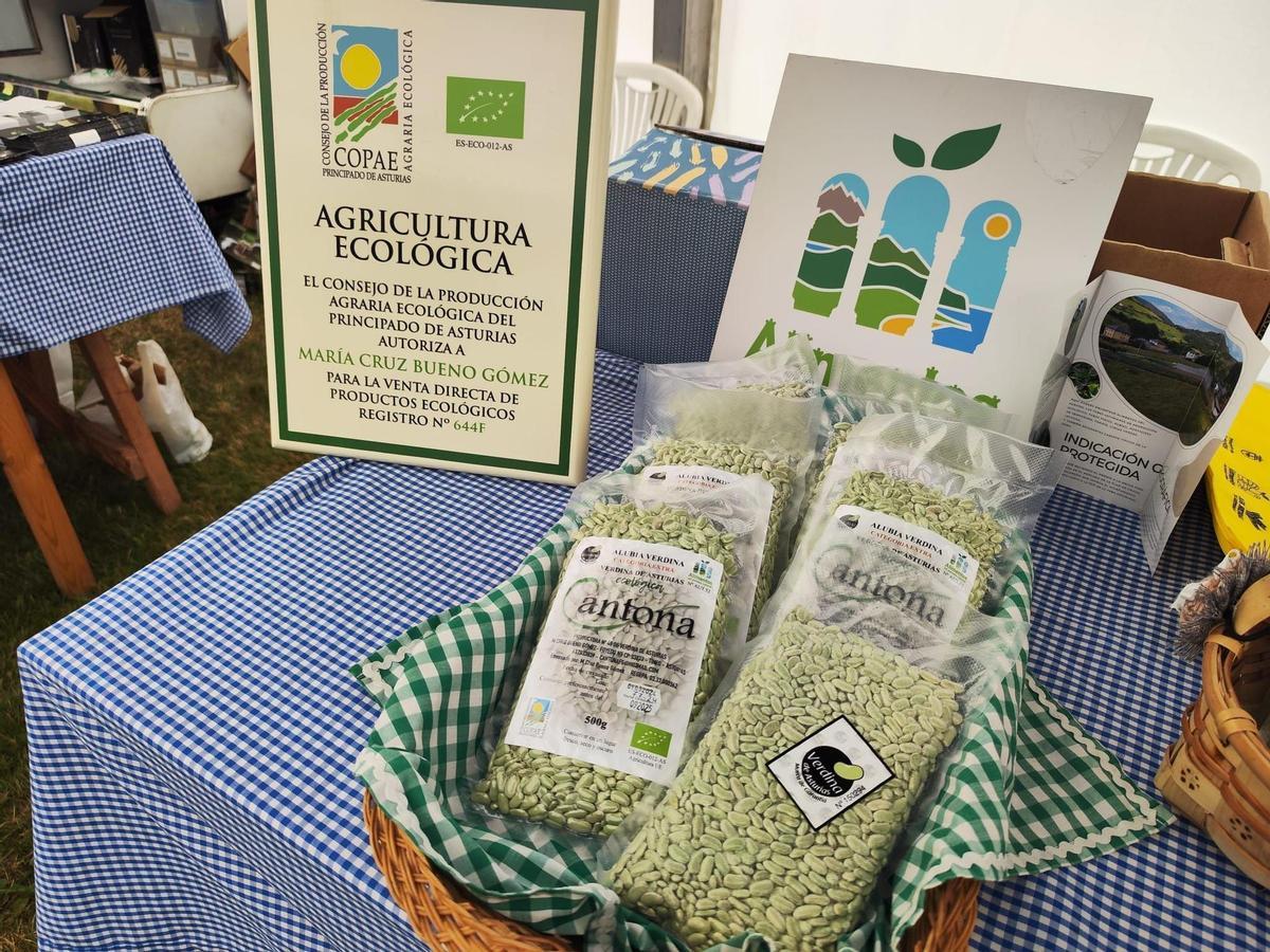 Verdinas ecológicas