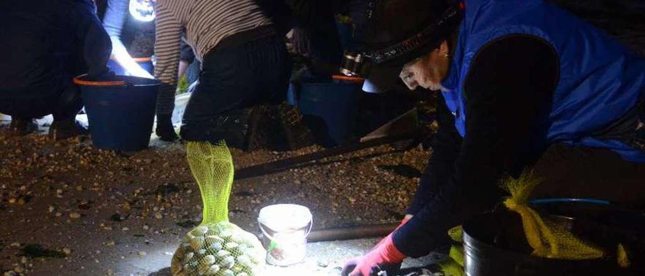 Mariscadoras de a pie de A Illa de Arousa seleccionando bivalvos en la playa. // Noé Parga