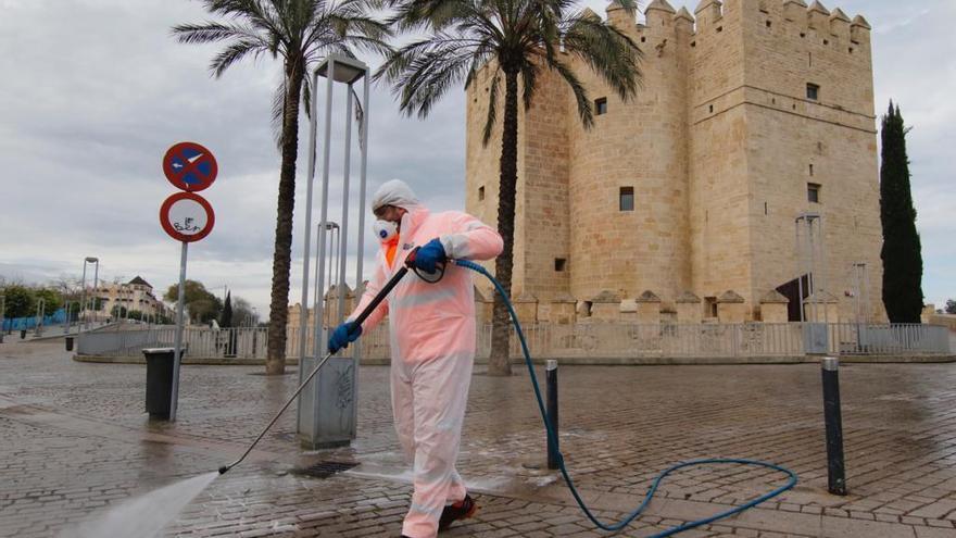 Desescalada en Córdoba: Sadeco reanudará en junio su plan de limpieza, que incluye desinfección