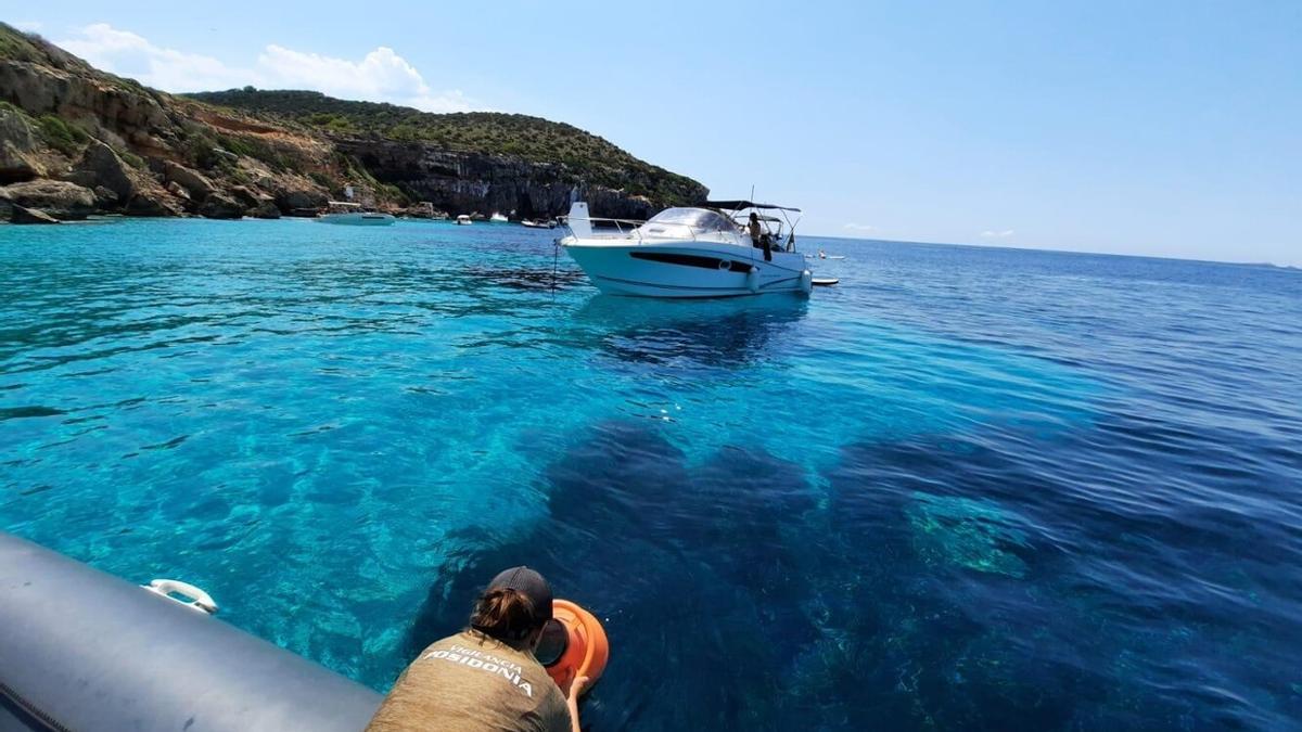 Servicio de vigilancia de la posidonia.