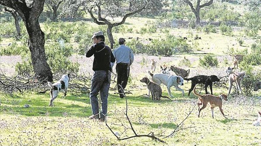 Tres detenidos en Cáceres por la venta de paquetes falsos de monterías