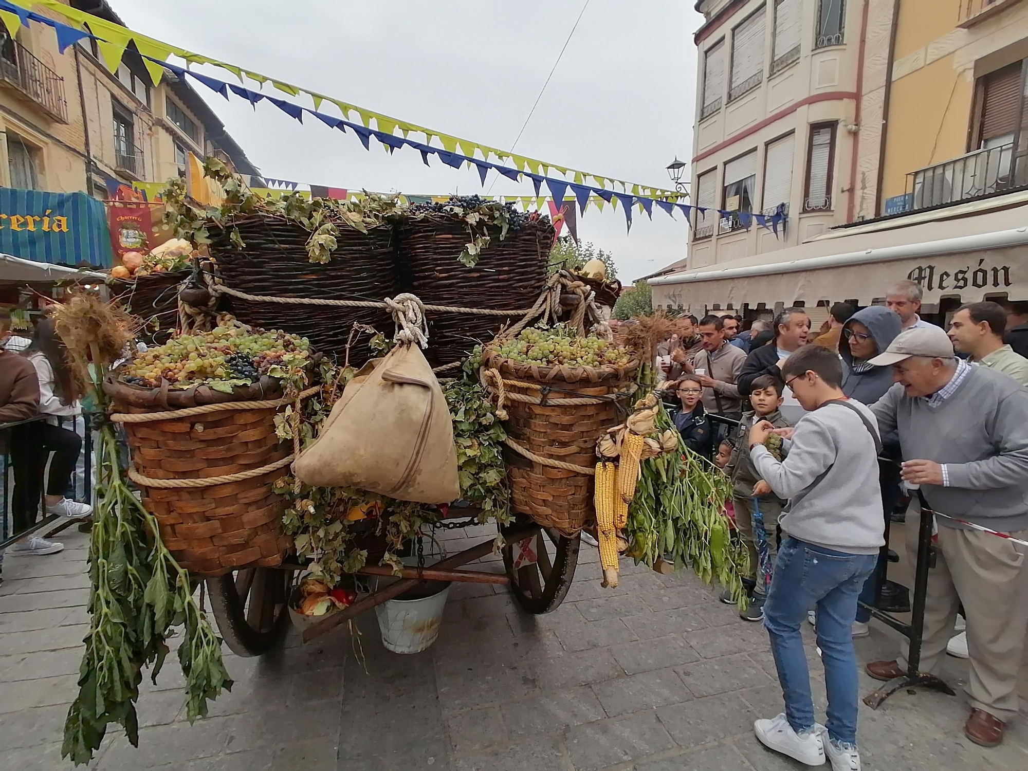 GALERÍA | Toro recrea la vendimia tradicional en el desfile de carros