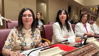 Las cuentas más "sumisas, cobardes y profundamente reaccionarias" del Gobierno regional