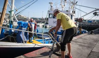 El cambio climático empieza a afectar  a la actividad de la pesca canaria