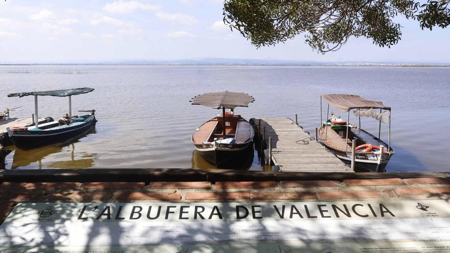 &quot;El coste ambiental de no hacer nada y dejar perder l&#039;Albufera es mucho mayor de lo que vale dragarla&quot;