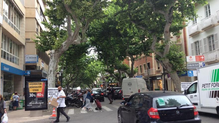 El 60 % de los vecinos de Dénia pide que Marqués de Campo sea peatonal