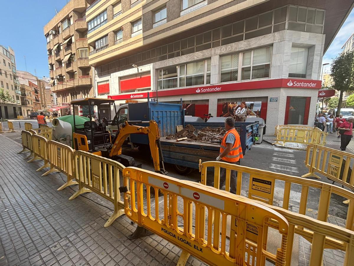 Personal municipal se ha encargado de plantar los nuevos árboles en la zona centro de Elche