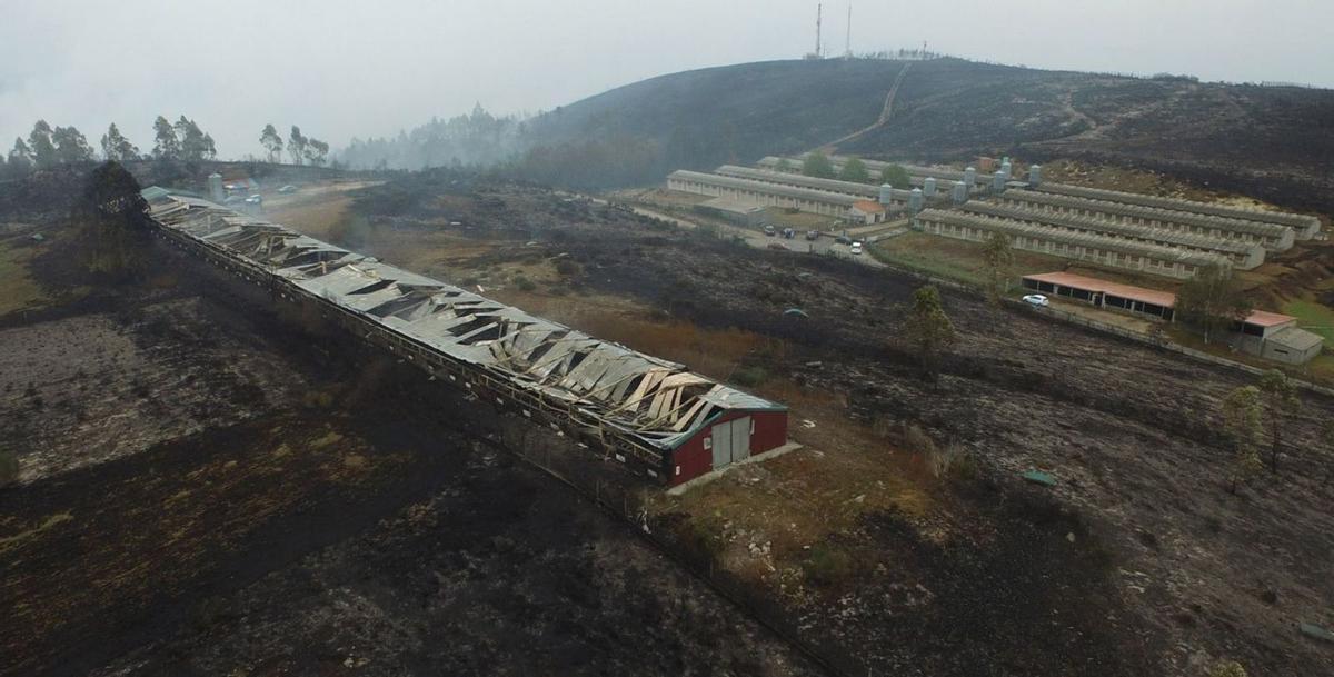 Estado en que quedó la nave avícola tras el incendio de octubre de 2017. | Bernabé / Javier Lalín