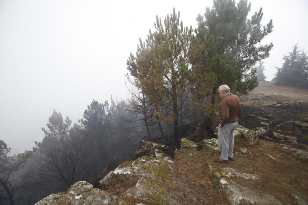 Incendios en Galicia | Vigo, cercado por el fuego