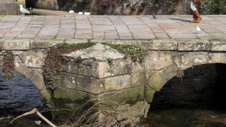 Una rama arrastrada por el río en el puente antiguo.  // J.L. Oubiña