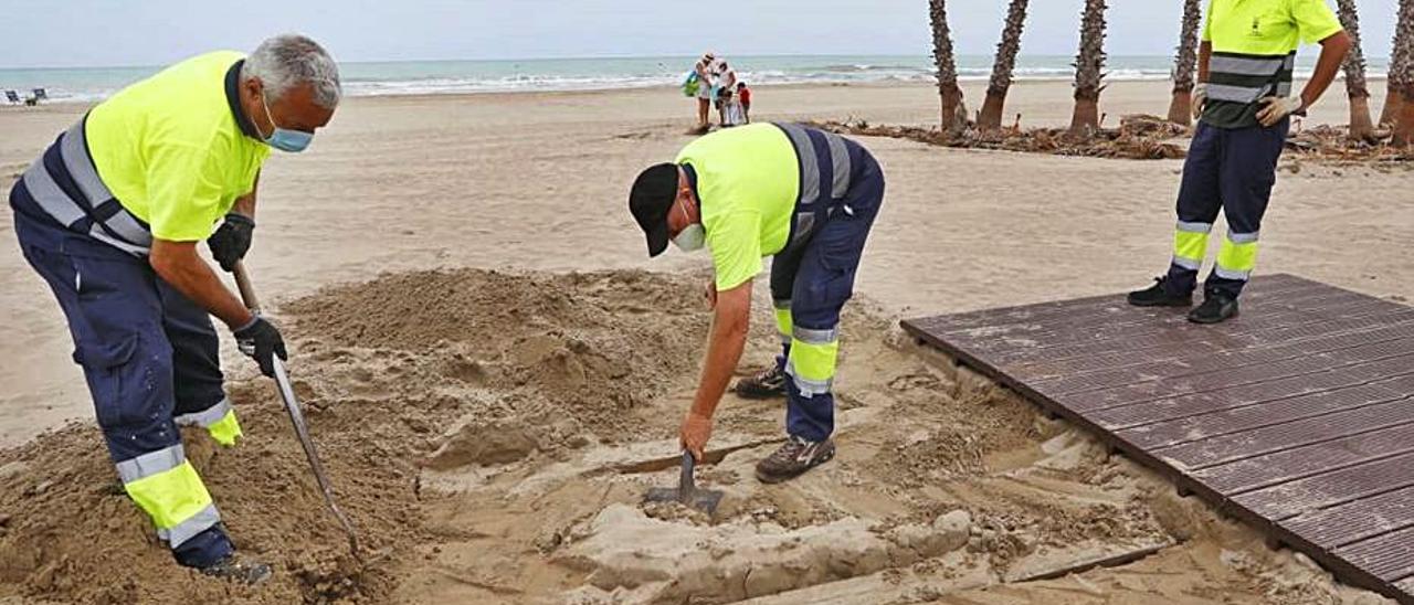 Acelerón para acondicionar la playa | TORTAJADA