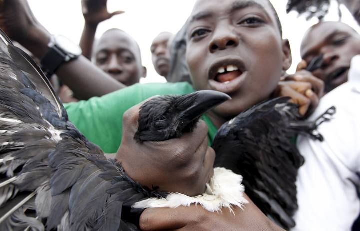 A protester carries a dead crow during demonstrations in Burundi's capital Bujumbura