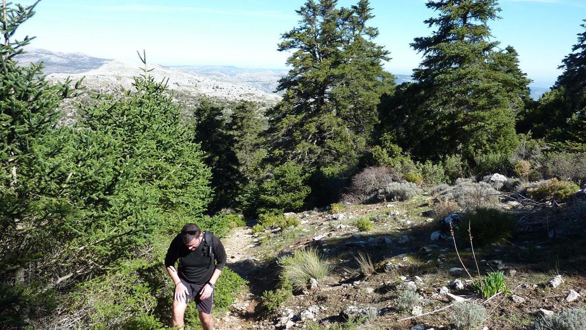La Sierra de las Nieves se convierte en el primer destino certificado 'Soy Ecoturista' de la provincia de Málaga.