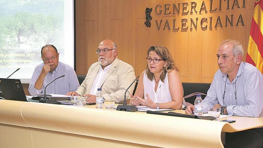 El Consell peina Castellón con 275 controles para prevenir la ‘xylella’