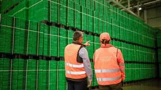 La valenciana Logifruit aumenta un 6% su facturación hasta los 152 millones de euros