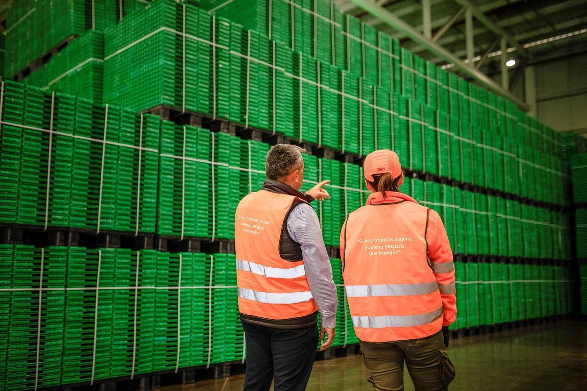 Instalaciones de Logifruit, en una imagen de archivo.