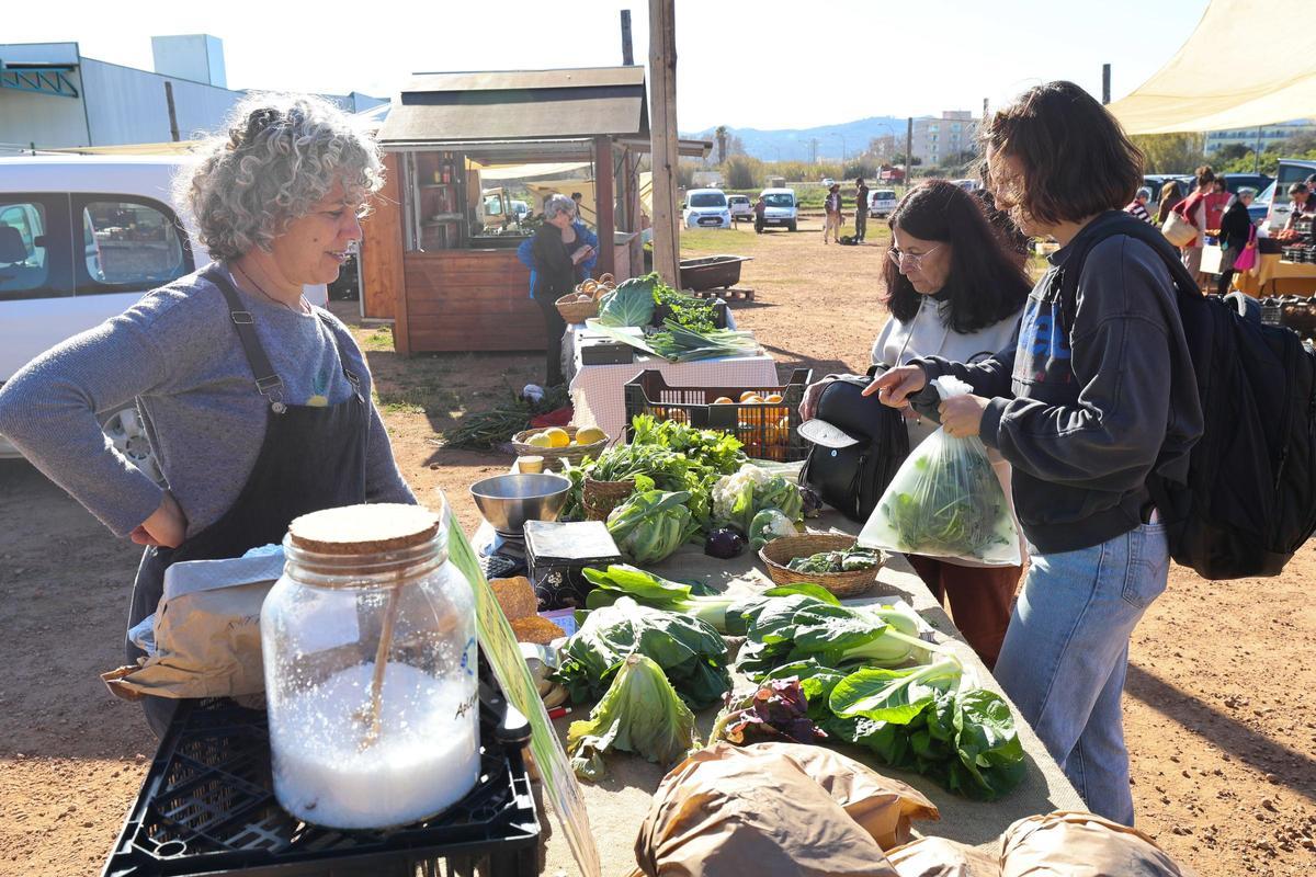 Galería: mercadillo de los productos del campo