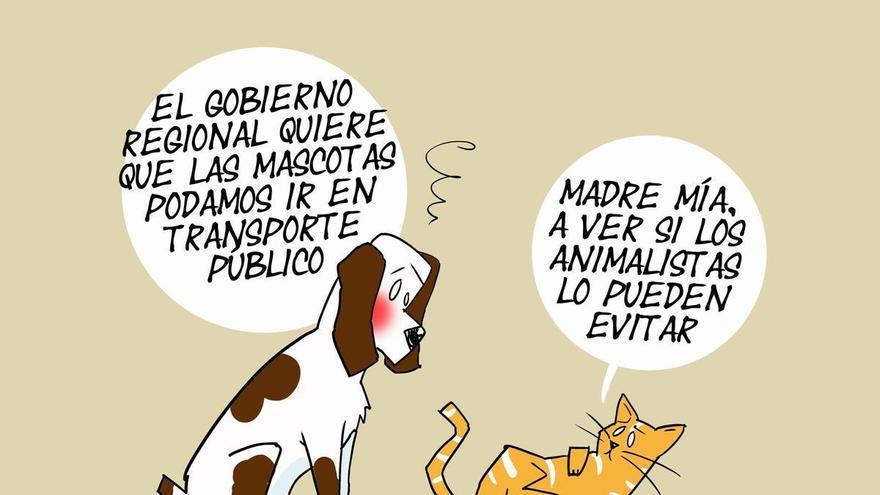 La rendija de Sabiote (10/08/2026)