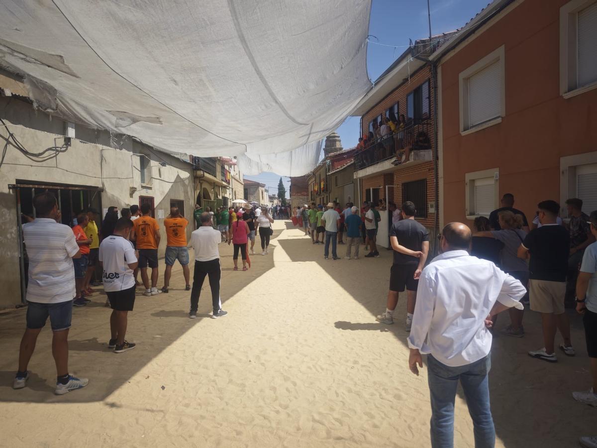 GALERÍA | El encierro de Villamor de los Escuderos en imágenes GALERÍA | El encierro de Villamor de los Escuderos en imágenes