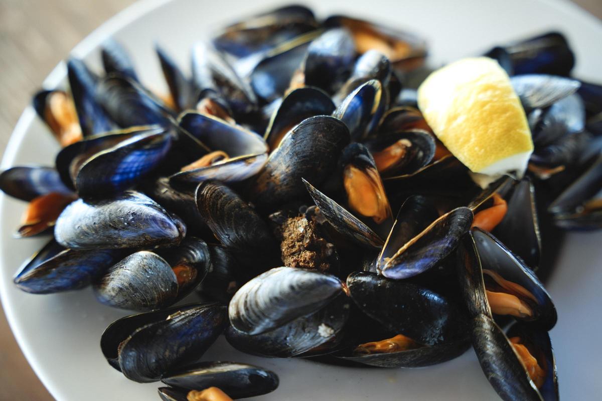 Mejillones de TAIGA en el Delta de l'Ebre