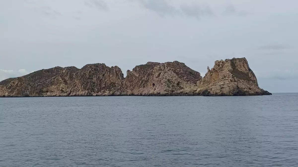 Multa de 2.000 euros para el pescador que caló una red de 500 metros en la reserva del Toro