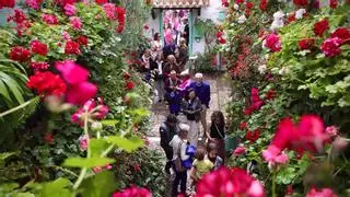 Fin de la festividad: "Los patios han estado espectaculares y la gente se ha llevado una imagen bellísima de Córdoba"