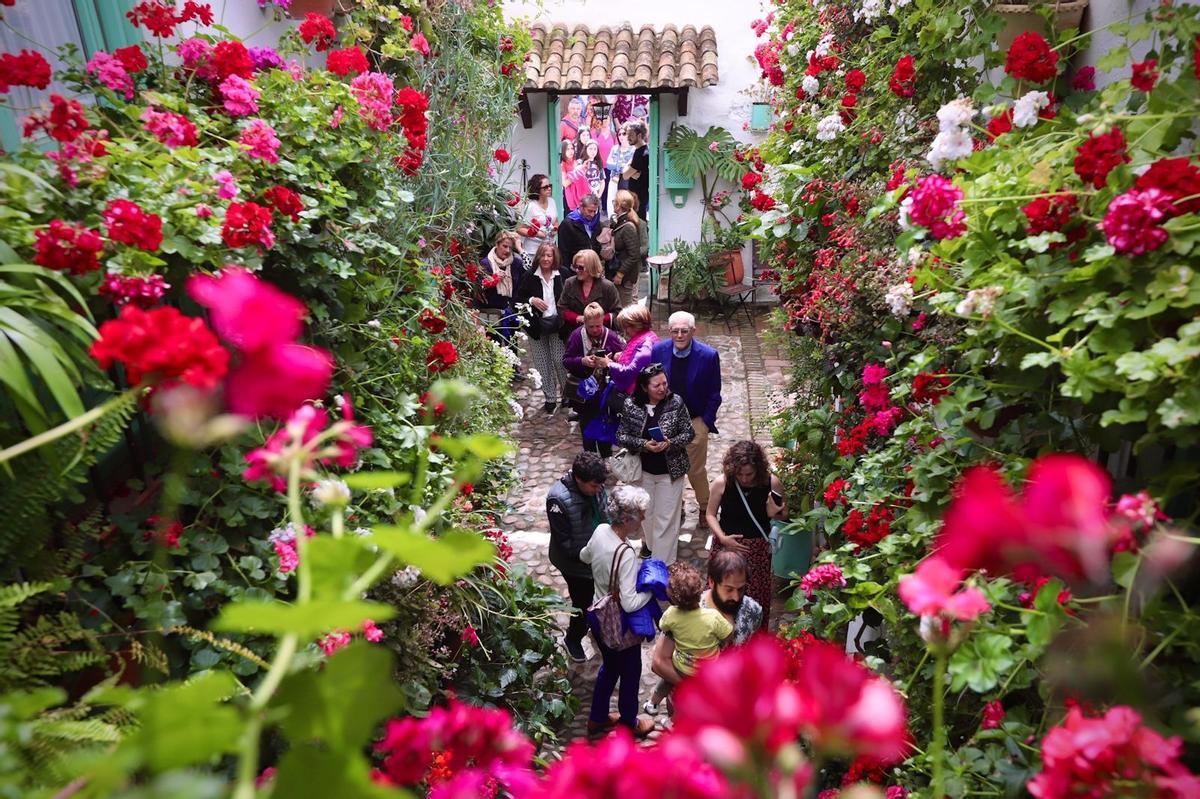 Primer día de patios en San Basilio 40.