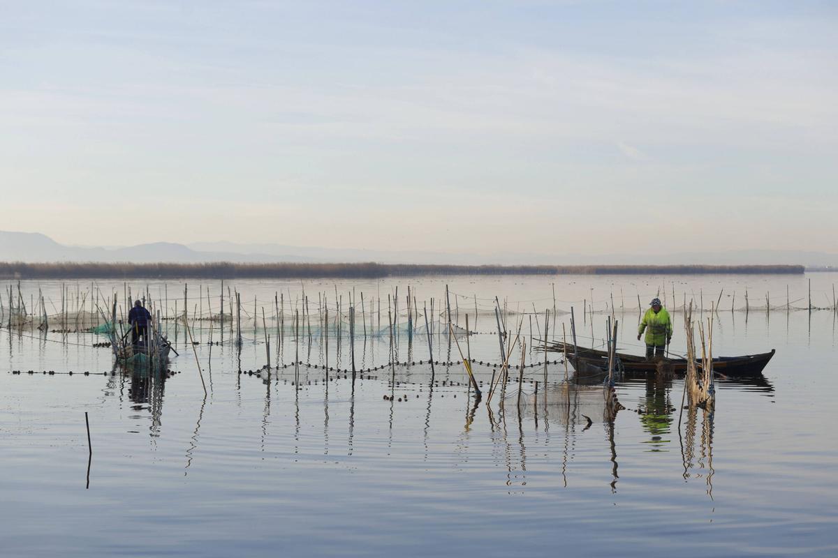 Dos pescadores faenan en el lago de l'Albufera de València, en 2024.