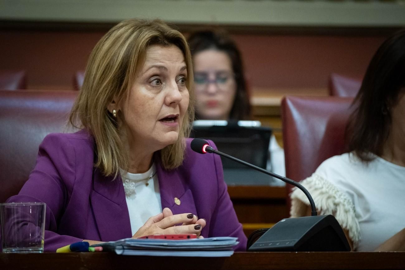 Pleno del Ayuntamiento de Santa Cruz de Tenerife del 29 de noviembre de 2024