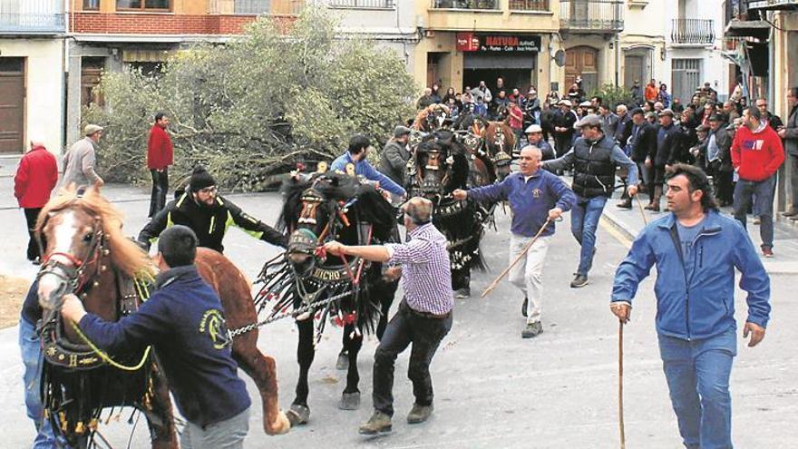 El espectacular ‘ròssec’ llena de emoción les Coves