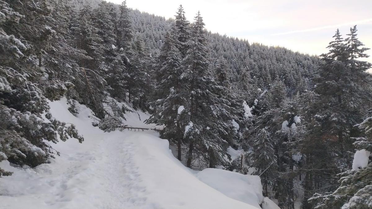 Els camins dels Rasos de Peguera estan plens de neu hores d'ara per practicar activitats com les raquetes. Foto de fa dos dies