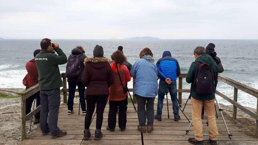 Un espacio con mucho que ver  |  La Reserva Ornitológica de O Grove será uno de los grandes atractivos de FIO 2019. Se trata de un espacio natural de gran riqueza, como comprobaron nuevamente cuantos asistieron el domingo a la ruta guiada organizada por el grupo pontevedrés de SEO/BirdLife. En esta ocasión avistaron 56 especies diferentes, con ejemplares de pato cuchara, ánade friso, silbón europeo, ánade rabudo, cerceta común, colimbo grande, espátula, garza real, garceta común, alcatraz, cormorán, gallineta común, focha, ostrero euroasiático, chorlito gris, chorlito dorado, zarapito trinador y aguja colipinta. No faltaron a la cita el vuelvepiedras, archibebe claro, charrán patinegro ni el gavión. Además de aves &quot;de tierra&quot; como la paloma torcaz, la tórtola, urracas, cornejas, carboneros, alondras, mosquiteros, estorninos y similares.