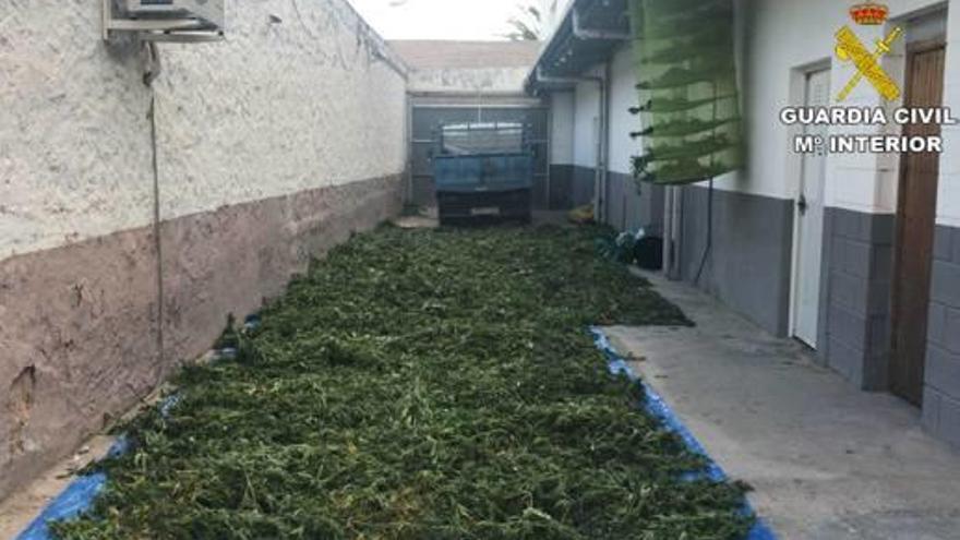 Imágenes de una de las plantaciones desmanteladas, parte de la droga incautada y una de las viviendas usadas por la red.