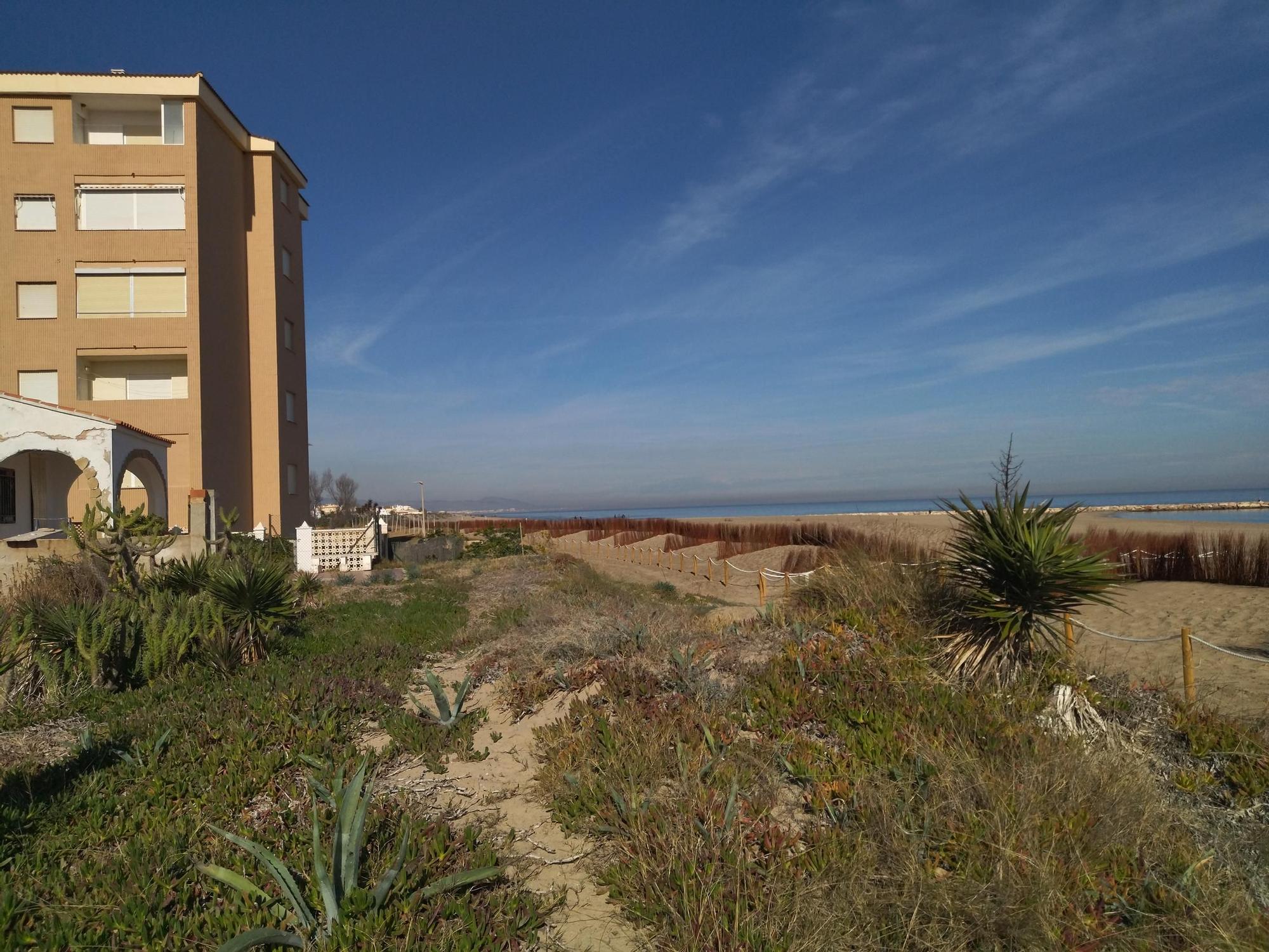 Las imágenes de la espectacular regeneración de la playa de les Deveses de Dénia