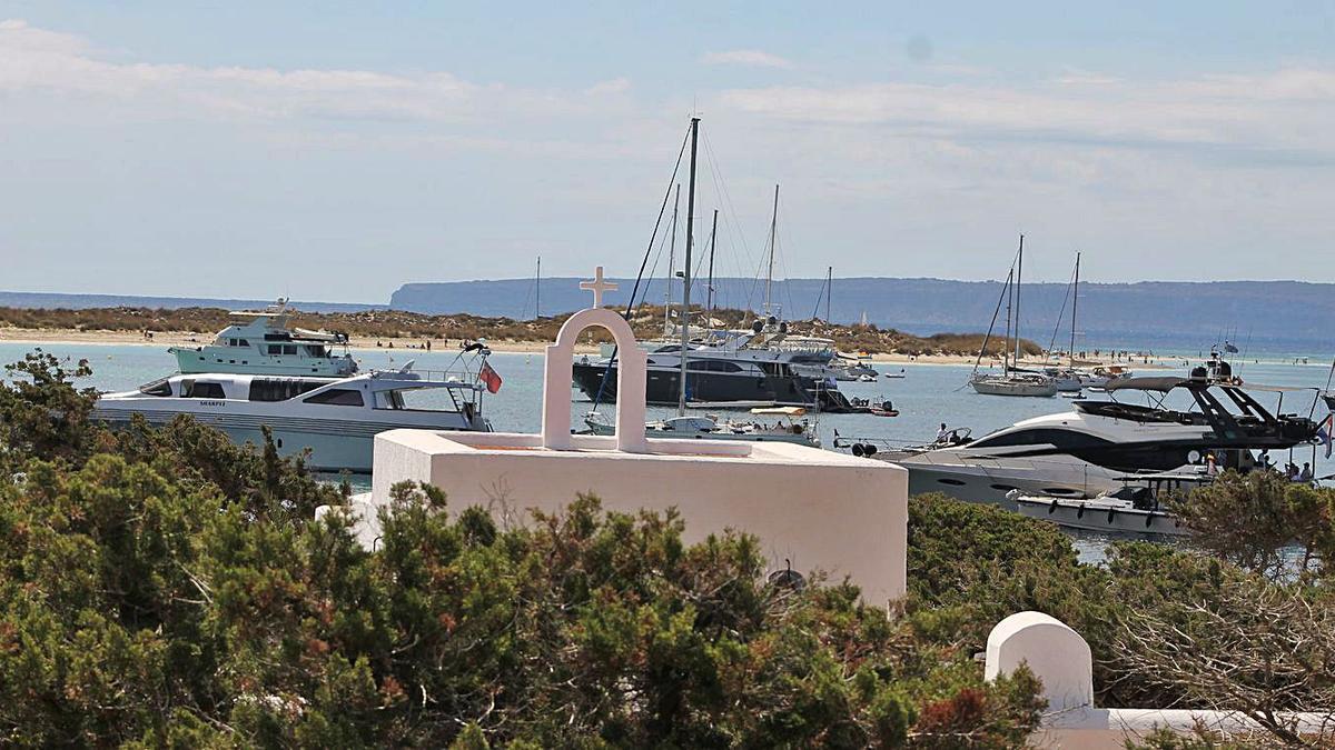 La presión sobre s’Espalmador y los islotes cercanos, como s‘Alga o sa Torreta, donde habitan lagartijas endémicas, es enorme.