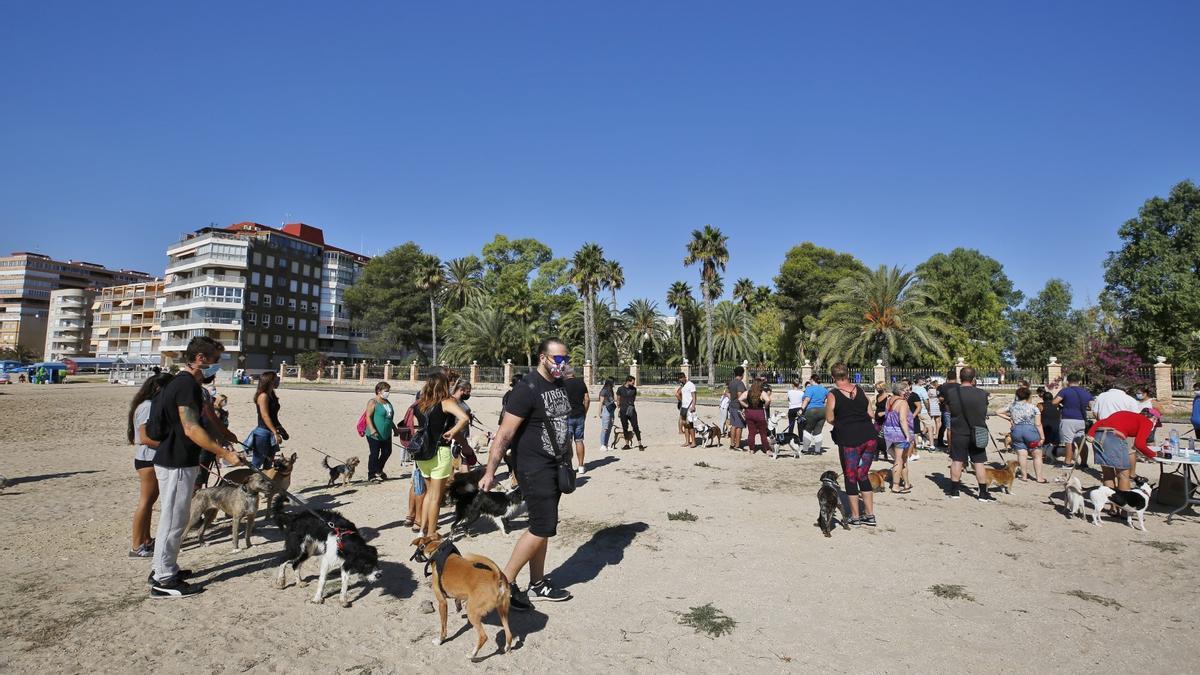 Protesta para reclamar "playas caninas dignas" en Torrevieja