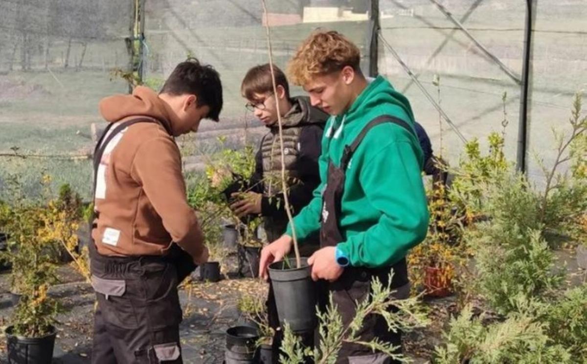 Alumnes de l'Escola Agrària del Pirineu
