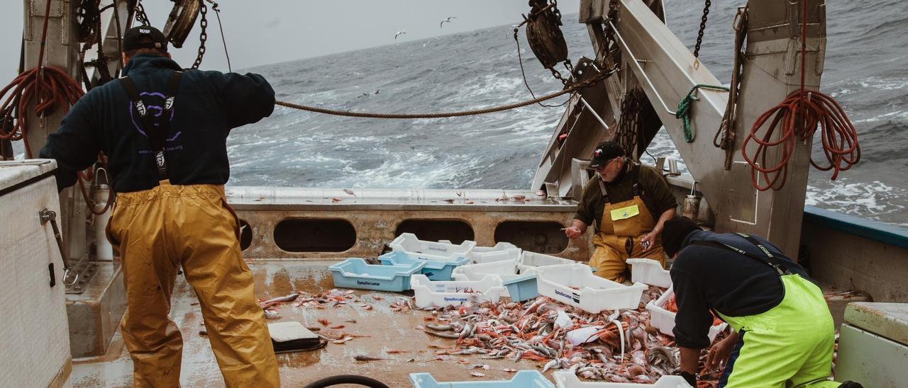 Una imagen de archivo de unos pescadores faenando en un arrastrero.