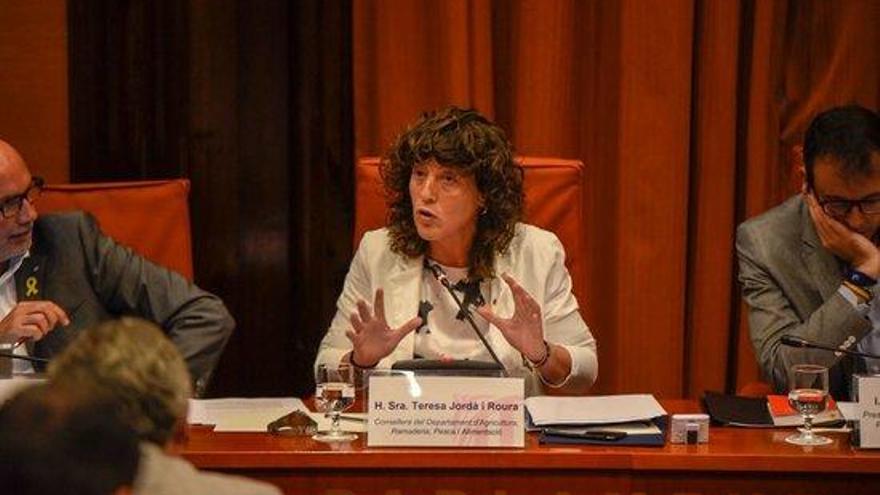 Constitueixen a l&#039;Escala el comitè de la pesquera de la sípia a la badia de Roses