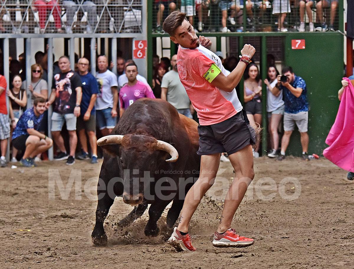 Bous a Vilafamés 2025 Bous a Vilafamés 2025