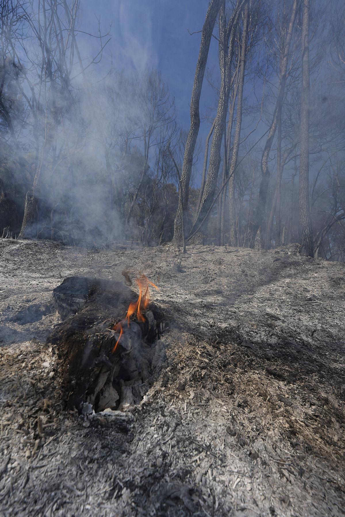 Les imatges de l'incendi de Vilavenut Les imatges de l'incendi de Vilavenut