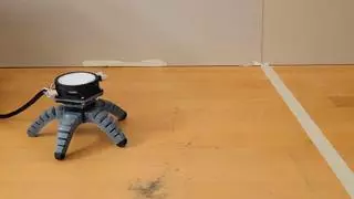 Demuestran que un hongo es capaz de controlar a un robot