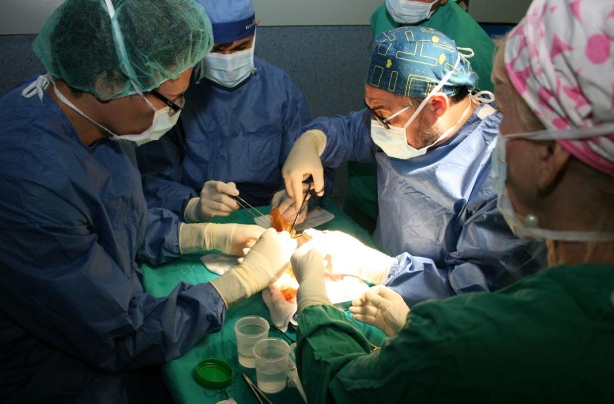 En España, se realizan cada año aproximadamente 1.200 trasplantes de hígado