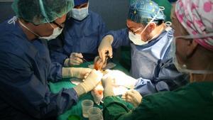 En España, se realizan cada año aproximadamente 1.200 trasplantes de hígado