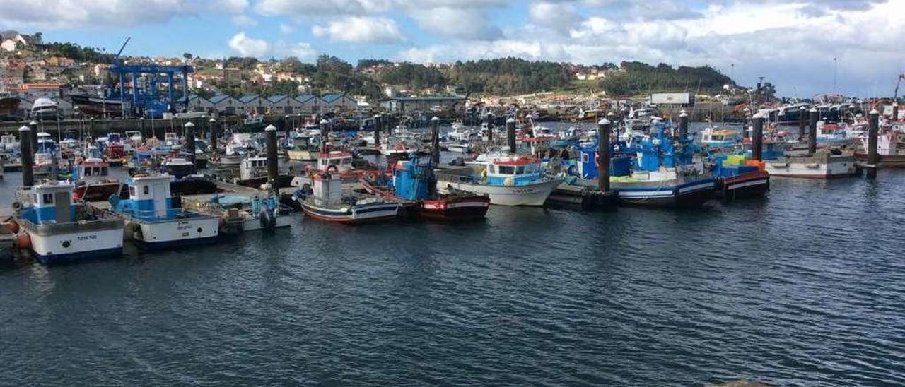 Una vista del puerto pesquero de Bueu. // Gonzalo Núñez