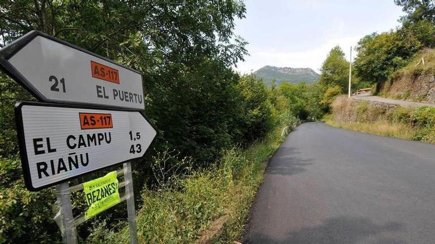 La carretera que une Campo de Caso con el puerto de Tarna.