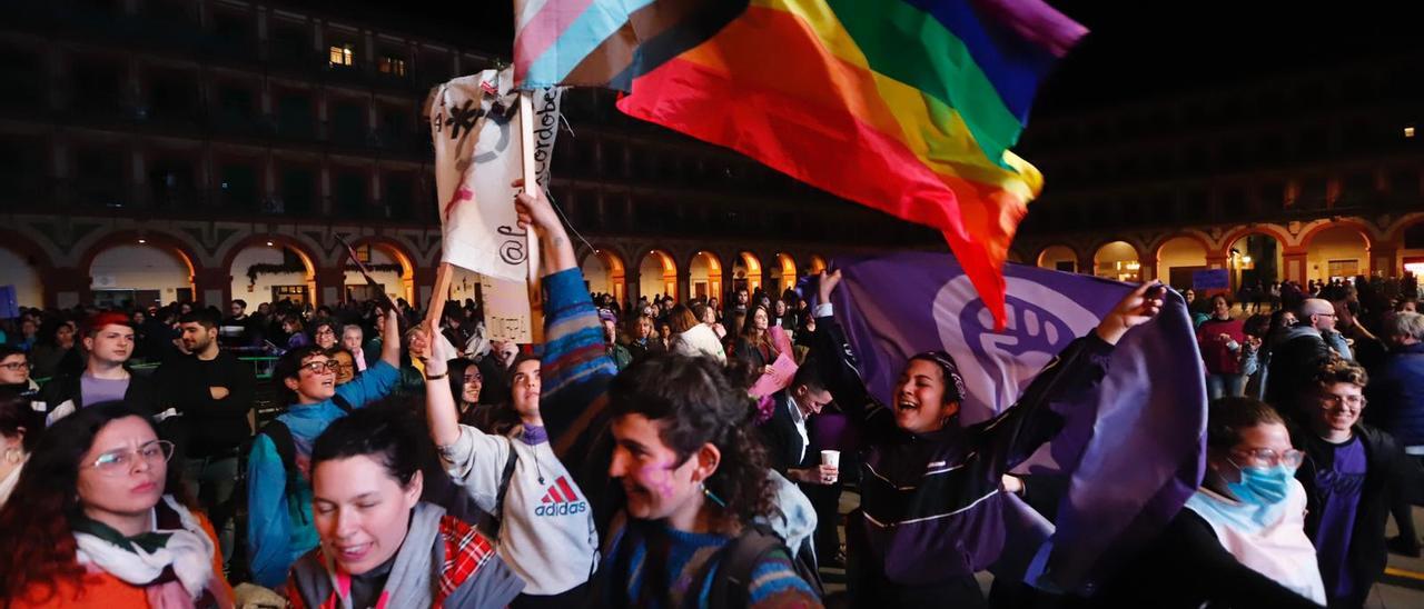 La manifestación del 8M recorre las calles de Córdoba