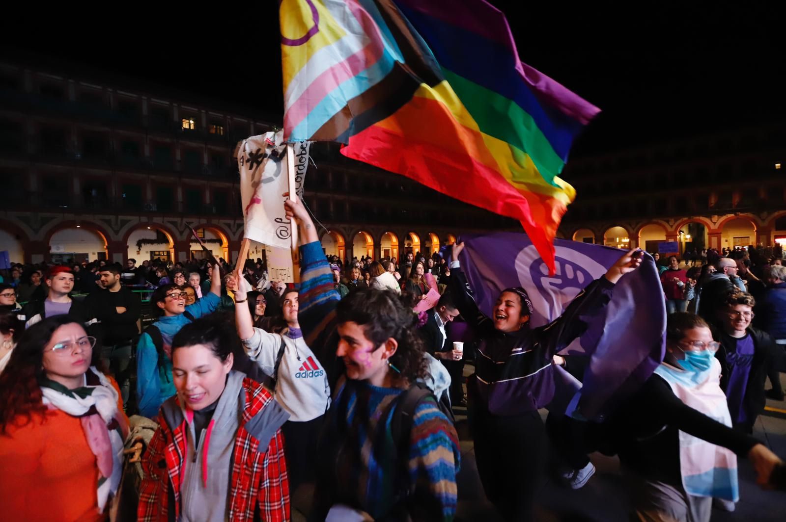 La manifestación del 8M recorre las calles de Córdoba